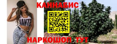 СК Сланцы