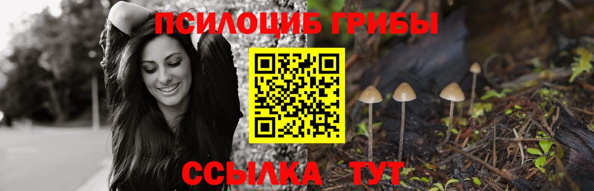 дарнет шоп  Вход с VPN  Печора  Псилоцибиновые грибы ЛСД 